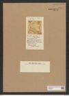 Nothoceratium sexpartitum (Gr. et Str.) De-Toni (de-Toni-Nr.: Genus 139, Species 3699) Zeichnungen Sammlung Grunow Nr. 7174 (NHMW-BOT-W0376153)
